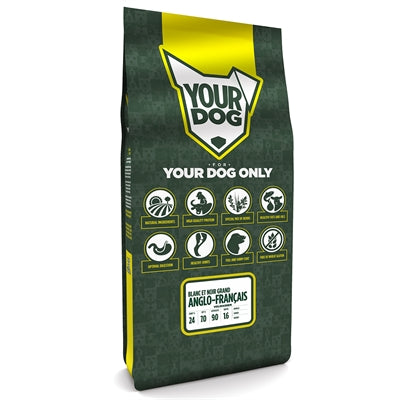 Yourdog Grand Anglo-Français Blanc Et Noir Volwassen