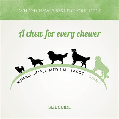 Antos Chicken D'light Munchy