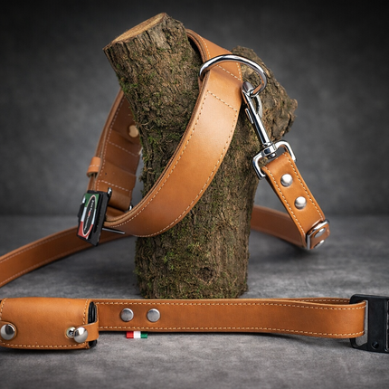 Luxury dog ​​leash and collar Jack and vanilla