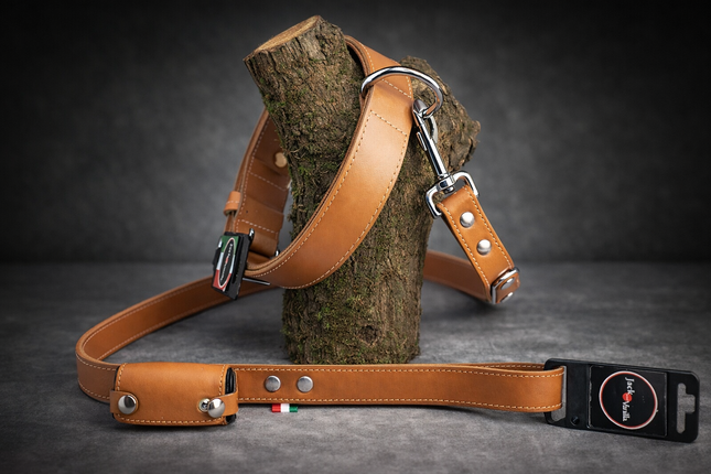 Luxe hondenriem en halsband Jack and vanilla