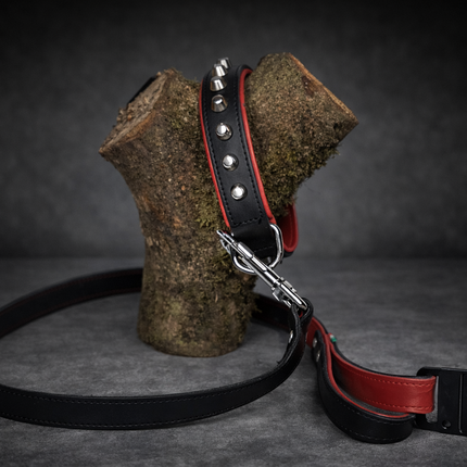 Luxury leather dog collar and leash set – black/red with studs Jack and vanilla