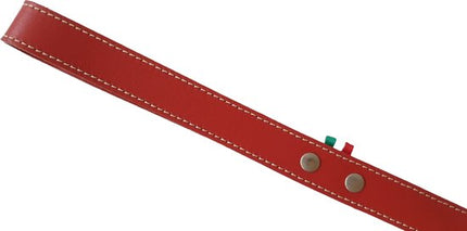 Jack & Vanilla leder halsband + riem Luxe