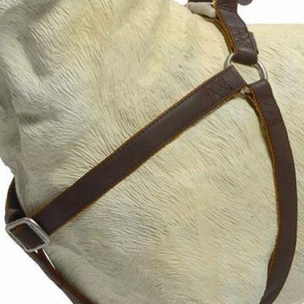 Beeztees Soft Touch Borsttuig