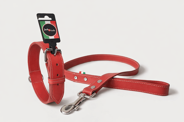 Jack & Vanilla leder halsband + riem Luxe