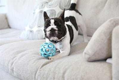 Jw Hol-Ee Roller Trend-Ee Blauw