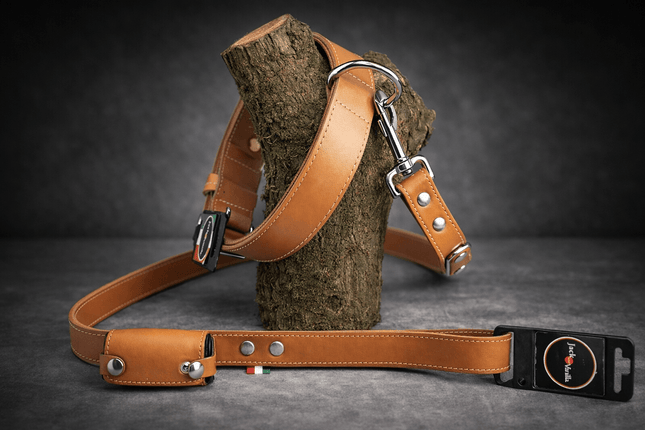 Luxe hondenriem en halsband Jack and vanilla