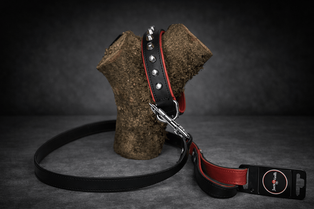 Luxe leren hondenhalsband & riem set – zwart/rood met studs Jack and vanilla