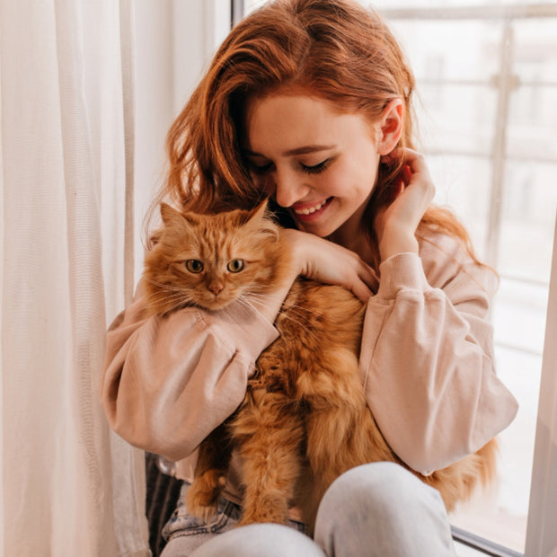 <h2>Kammen & Borstels</h2>