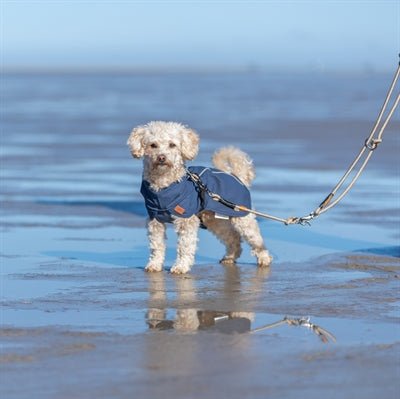 Trixie Be Nordic Regenjas Husum Blauw