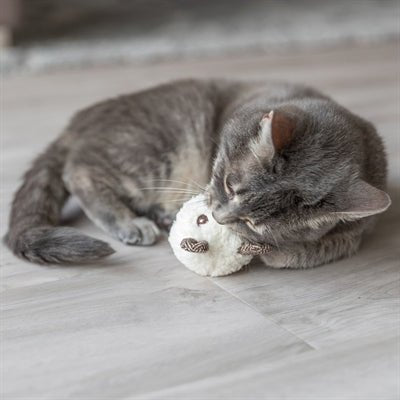 Trixie Beer Met Catnip Pluche Assorti