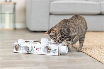 Trixie Cat Activity Paws'n'treats Box Karton