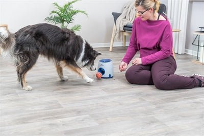 Trixie Dog Activity Strategiespel Ball&Treat Lichtgrijs / Blauw